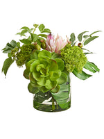 19" Echeveria/Protea in Glass Vase Green Pink (pack of 1)
