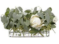 12"Hx12"Wx20"L Protea/ Eucalyptus Arrangement in Glass Vase White Green (pack of 1)