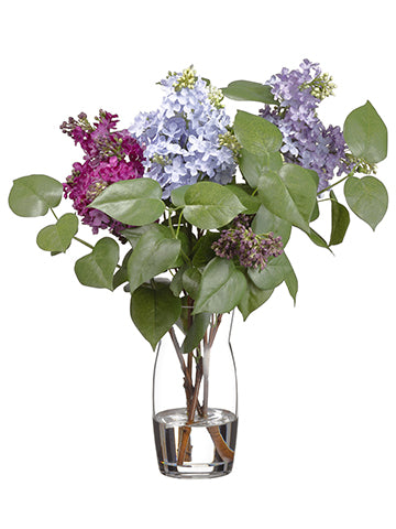 19"Hx10"W Lilac/Sedum Arrangement in Glass Vase Lavender Purple (pack of 1)