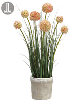27" Allium in Clay Pot  Mauve Green (pack of 4)