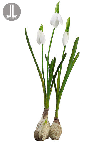 10" Standing Snowdrop with Bulb White (pack of 24)