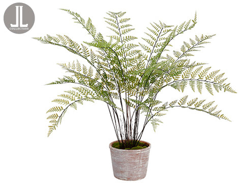 does talking to plants help them grow Speaking Kindly to Plants & Humans 8 x 10 Wall Art