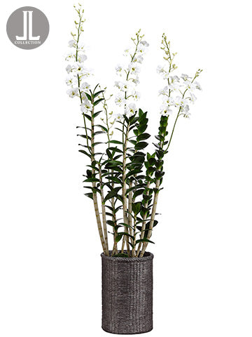 67" Dendrobium Orchid Plant in Cement Pot White (pack of 1)