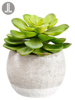 8.5" Succulent in Terra Cotta Pot Green (pack of 4)