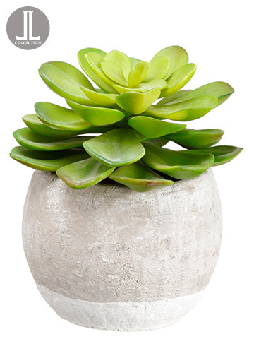 8.5" Succulent in Terra Cotta Pot Green (pack of 4)
