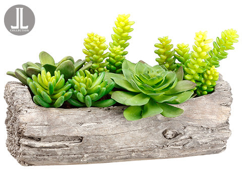 8" Succulent Garden in Log  Green (pack of 2)