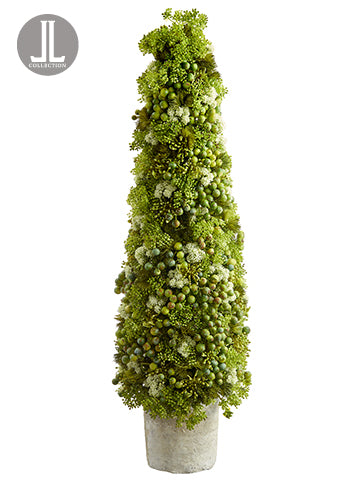 29" Sedum/Berry Cone Topiary in Clay Pot Green Cream (pack of 1)