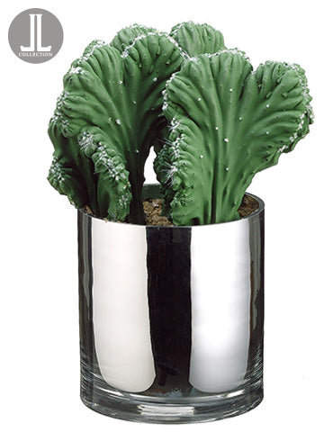 11.5" Coral Cactus in Glass Vase Green (pack of 2)