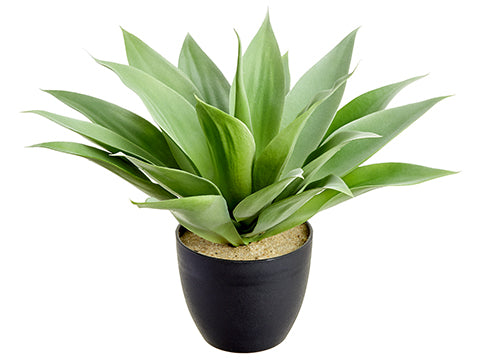 16"Hx16"D Agave Plant in Cement Pot Green (pack of 2)