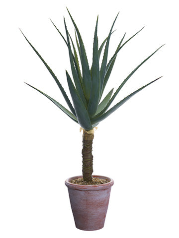 36" Agave Plant in Paper Mache Pot Green (pack of 1)