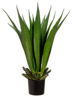 33" Agave Plant with 15 Leaves in Black Plastic Pot Two Tone Green (pack of 1)