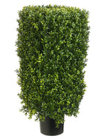 30" Rectangular Boxwood Topiary in Plastic Pot Two Tone Green (pack of 1)
