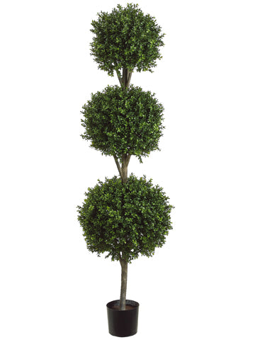 6' Triple Ball-Shaped Boxwood Topiary in Plastic Pot Two Tone Green (pack of 1)