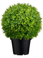 17" Plastic Baby's Tear Ball Topiary in Pot Two Tone Green (pack of 2)