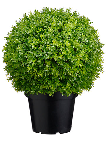 17" Plastic Baby's Tear Ball Topiary in Pot Two Tone Green (pack of 2)