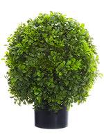 16" Boxwood Ball Topiary in Nursery Pot Green (pack of 1)