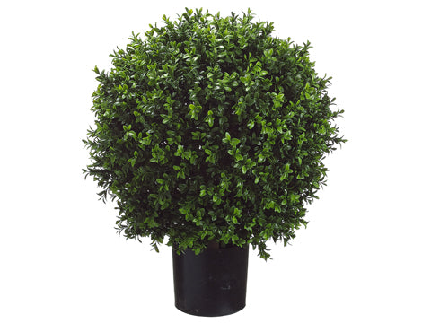 23.5"H Ball-Shaped Boxwood Topiary in Plastic Pot Green (pack of 2)
