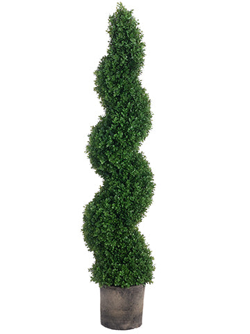 60" Boxwood Spiral Topiary in Black Plastic Pot Green (pack of 1)