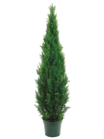 72" Cedar Topiary x2492 w/Pot (knockdown packing) Green (pack of 1)