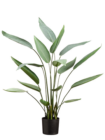 36" Water Canna Plant With 16 Leaves in Pot Green (pack of 2)