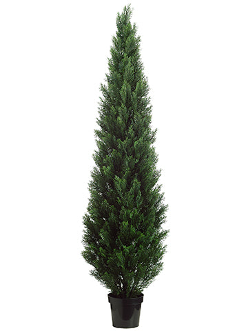 84" Cedar Topiary in Plastic Pot (Knock-Down Packing) Green (pack of 1)