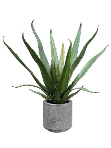 19" Agave in Cement Pot  Green (pack of 4)