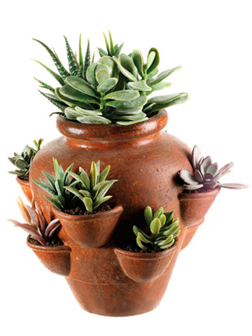 12"H Cactus Garden in Terra Cotta Container Green (pack of 1)