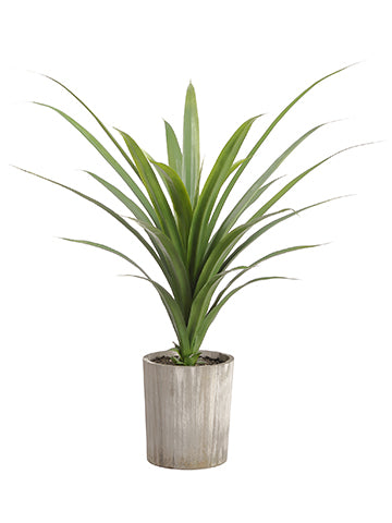 40" Dracaena Plant in Wood Planter Green (pack of 2)
