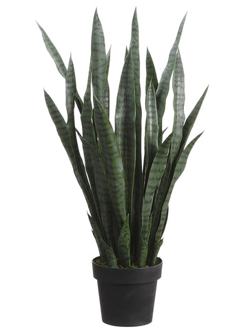 35" Plastic Green Sansevieria in Plastic Pot Green (pack of 2)