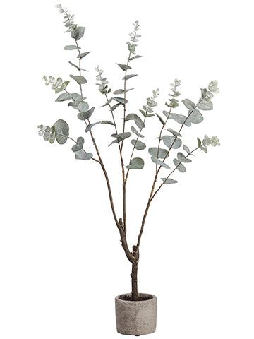 35" Eucalyptus Plant in Cement Pot Green Gray (pack of 2)