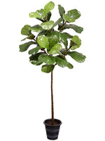 63" Fiddle Leaf Tree in Plastic Pot Green (pack of 2)