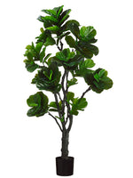 6' Eva Fiddle Plant with 144 Leaves in Black Plastic Pot Green (pack of 2)