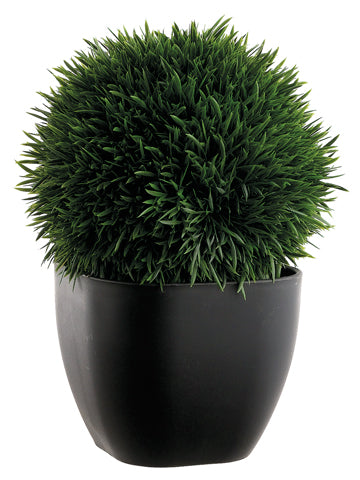 11" Grass Ball in Plastic Pot  Green (pack of 6)