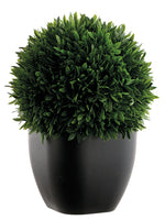 11" Tea Leaf in Plastic Pot  Green (pack of 6)