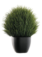 13" Oval Thistle Ball in Plastic Pot Green (pack of 4)
