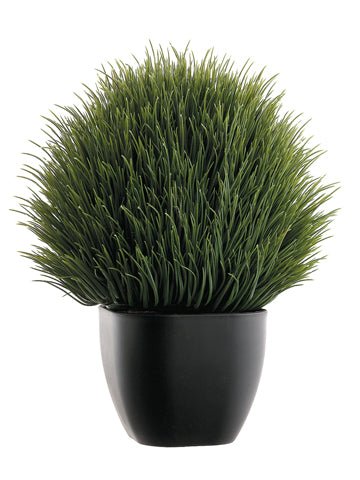 13" Oval Thistle Ball in Plastic Pot Green (pack of 4)