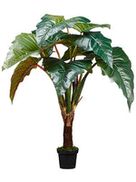 58" Philodendron Red Prince in Pot knock-down Packing Green (pack of 2)