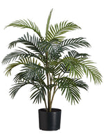 3' Areca Palm Tree x4 in Pot  Green (pack of 6)
