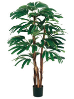 3' Rhapis Tree x3 w/196 Leaves in Pot Two Tone Green (pack of 2)