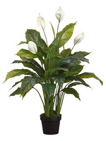 42" Spathiphyllum Plant in Pot Green White (pack of 4)