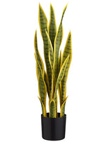 Green Yellow