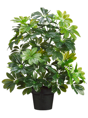 26" EVA Schefflera Plant in Pot Green (pack of 4)