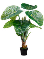 48" Taro Plant in Pot knock-down Packing Green (pack of 2)