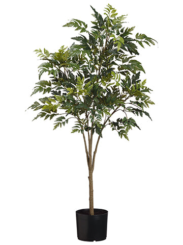 45" Aralia Tree x4 in Pot  Green (pack of 4)