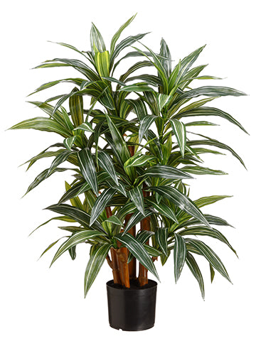 33" Yucca Plant x4 174 leaves in Pot Cream Green (pack of 2)