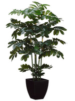 48" Zamia Plant in Black Plastic Pot Green (pack of 2)