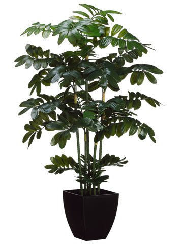 48" Zamia Plant in Black Plastic Pot Green (pack of 2)