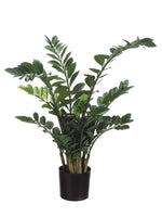 42" Zamioculcas Plant in Plastic Pot Green (pack of 2)