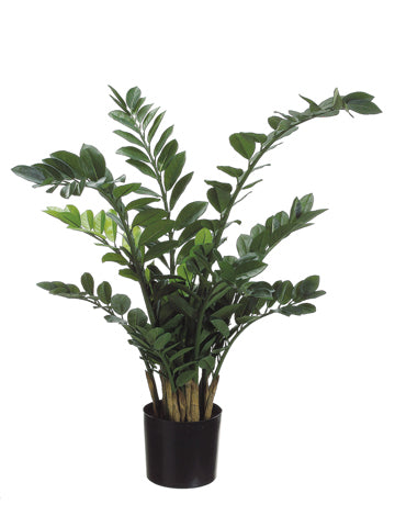 42" Zamioculcas Plant in Plastic Pot Green (pack of 2)