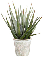 16.5" Agave in Paper Mache Pot Green (pack of 2)